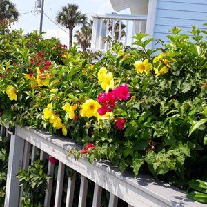 original limited-edition photographs on paper signed amd numbered by artist